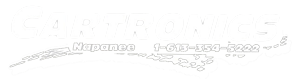 Catronics Logo